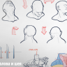 [Gumroad] Anatomy 1 - Head and Neck [ENG-RUS]