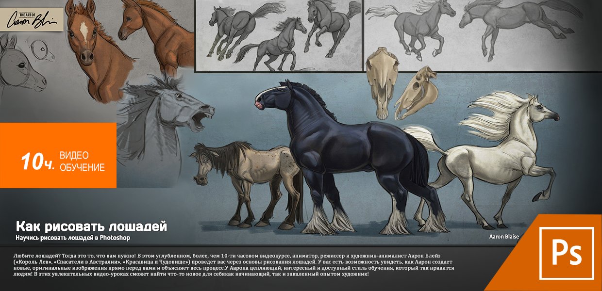 _The_Art_Of_Aaron_Blaise_How_to_Draw_Horses.jpg