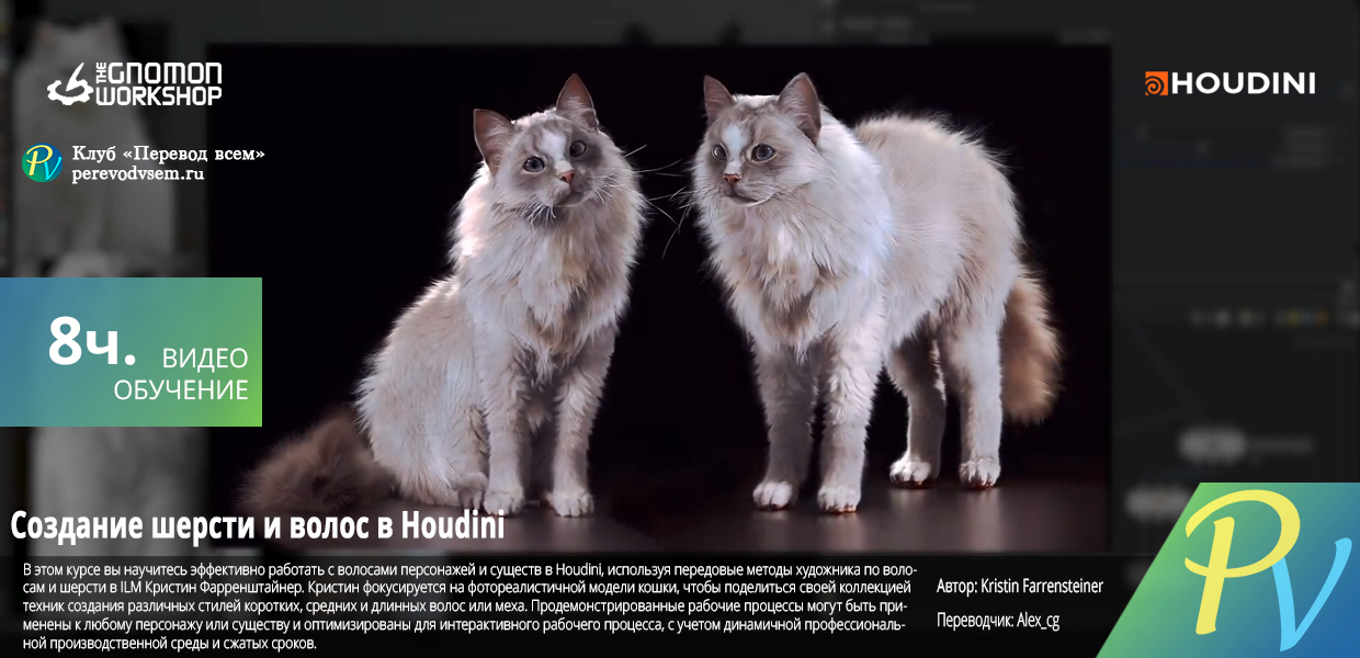Creating-Creature-Hair--Fur-Grooms-in-Houdini.png