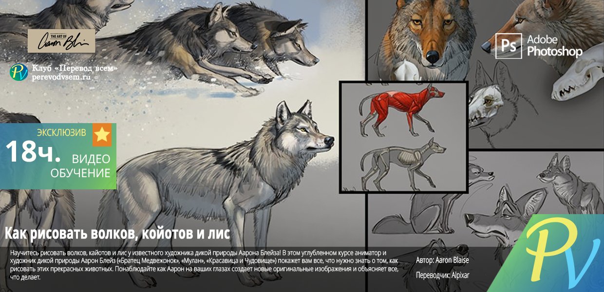 How_to_Draw_Wolves_Coyotes_Foxes.jpg