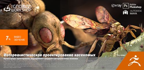 [The Gnomon Workshop] Hyper-real Insect Design [ENG-RUS].jpg