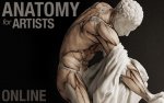 anatomy-course.jpg