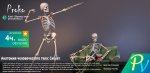 Anatomy_of_the_Human_Body_Skeleton.jpg