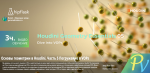 142.hipflask-Houdini-Geometry-Essentials-05-Dive-into-VOPs.png
