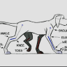 [Lynda] 2D Animation: Animal Walk Cycles [ENG-RUS]