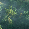 [Digital Tutors] Building a Realistic Aerial Forest Scene in 3ds Max [ENG-RUS]