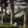 [CGcircuit] Intro to Terrains in Houdini and Unreal [ENG-RUS]
