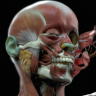 [CGMA] Character Facial Sculpting Week 9-10 [ENG-RUS]