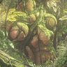 [CGMA 3D] Vegetation & Plants for Games [ENG-RUS]