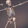 [Proko] Anatomy of the Human Body: Skeleton [ENG-RUS]