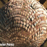 [Learn Squared] Substance Designer Essentials from Javier Perez Part 1 [ENG-RUS]