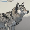 [The Art Of Aaron Blaise] How to Draw Wolves, Coyotes & Foxes Part 1 [ENG-RUS]