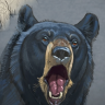[The Art Of Aaron Blaise] How to Draw Bears Part 1 [ENG-RUS]