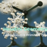 [hipflask] Houdini Geometry Essentials 01 Components & Primitive Types [ENG-RUS]