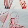 [Vilppu] Drawing Manual 8. Using Anatomy Part Two [ENG-RUS]