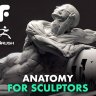 [Flippednormals] Fundamental Anatomy for Sculptors [ENG-RUS]